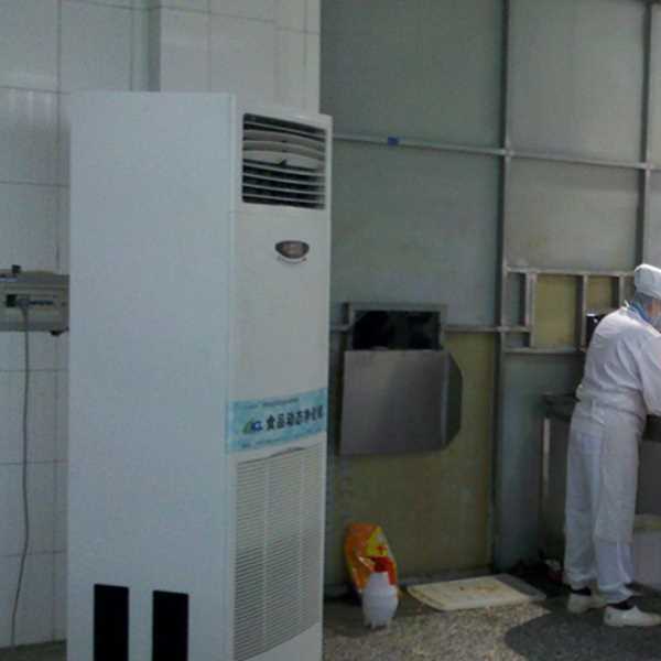 红河食品正负离子空气杀菌器